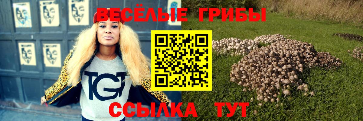 Галлюциногенные грибы мицелий  Псилоцибиновые грибы Cubensis  Вход с VPN  Лангепас 