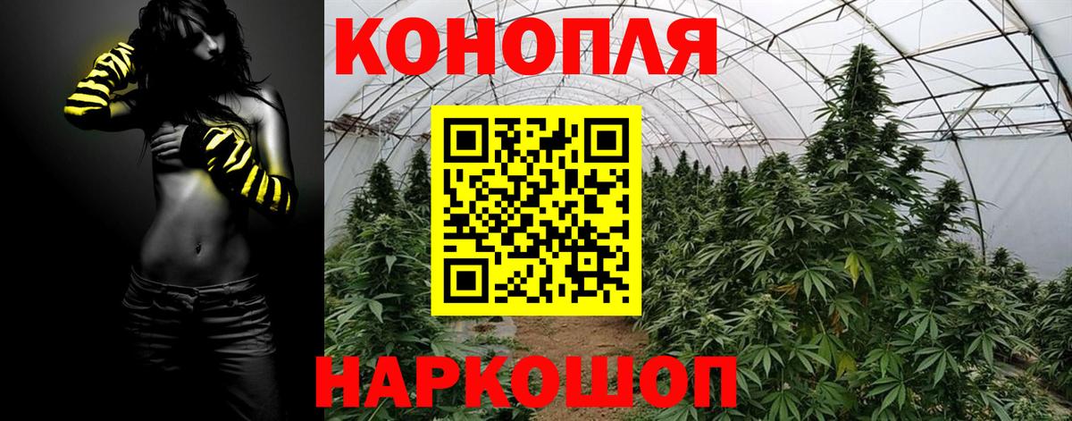 Бошки Шишки конопля Лангепас